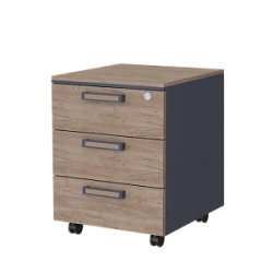 Mobile cabinet with central lock PREGO