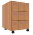Form mobile module for dispensing department, 6 drawers