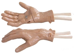 Wrist arthroscopy model, LV66