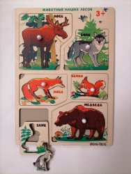 Frames-inserts "Animals of our forests"