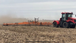 Chain harrow BC-18