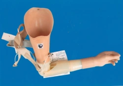 Functional-cosmetic shoulder prosthesis PR4-34