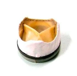 Biological heart valve prosthesis "MEDINGE-BIO" (mitral).