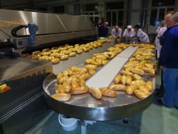 Circulating disc conveyor KCD-2500