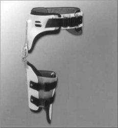 Hip apparatus AN6-T.1
