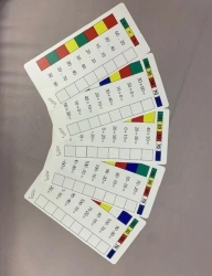 Handout cards for control cubes #6 "Basics of counting up to 100".