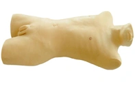 Bone Marrow Puncture Training Simulator, CK816 / CS6233