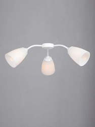 General purpose fixed luminaire V3187-0/3PL