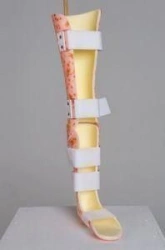 Full leg brace