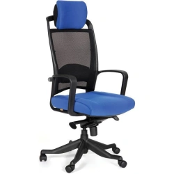 Armchair model CHAIRMAN 283