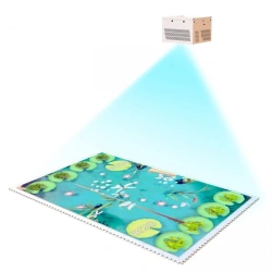 Interactive floor Trade mark: Interactive project, stationary with enclosure 3000