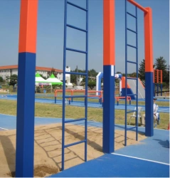 PP Element Vertical ladder