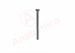 Partial thread spongiole screw