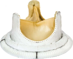 Biological heart valve prosthesis "MEDING-BIO" (aortic)