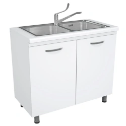 Cabinet with sink medical