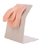 Catheterisation model (male) 28E