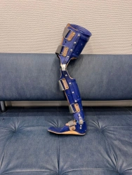 Ankle and knee joint apparatus