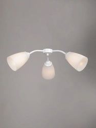 General purpose fixed luminaire V3187/3PL
