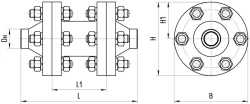 Check valve ATEK.494284.004