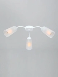 General purpose fixed luminaire V3758-0/3PL