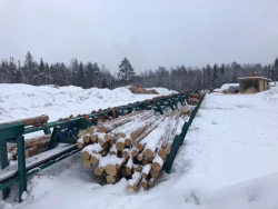 Longitudinal AXEL 10-13 Log Receiving, Measuring and Evaluation Conveyor