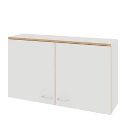 Hinged non-metallic cupboards (LAB series)