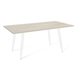 Sheffilton SHT-TU14/120/80 LDF table