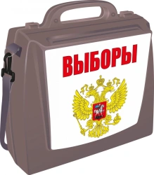 Portable voting box