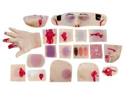 Wound and lesion simulators MU0641