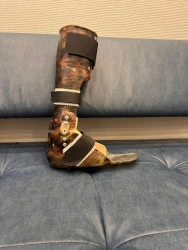 Ankle and knee joint apparatus