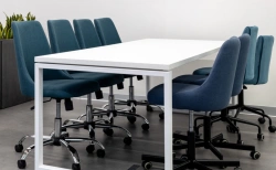 Conference table with 12 chairs MGS3.114