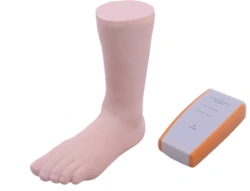 Foot and ankle trainer for injections L74