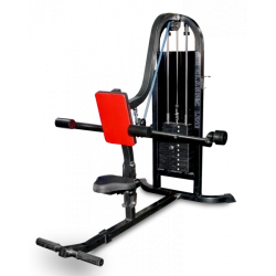 Triceps. Down press (weight block)