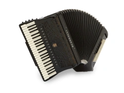Accordion Musa Talia