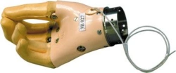 Brush 3B 027 with passive grip