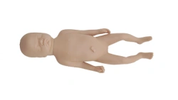 Fetal model (30 weeks), PS6605