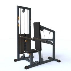 BF-133 Triceps machine (bars)