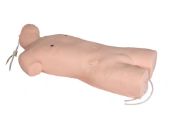 Model for teaching central vein puncture CS6240