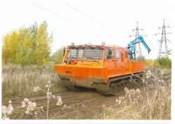 Motorized Specialty Vehicles