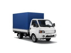 Sollers Argo SCV-GAA truck (flatbed with or without frame and awning, with or without rear swing gate,