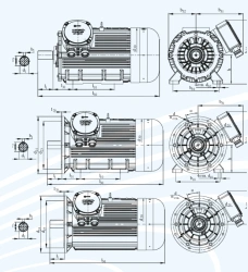 Explosion-proof asynchronous electric motors of series DVR 355, power more than 375 kW, but not more than 750 kW