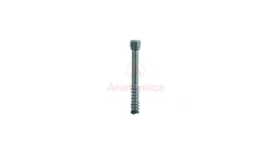 Herbert screw