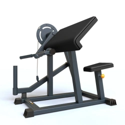 BF-208 Biceps machine