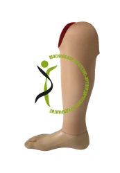 Tibial prosthesis for bathing PN3-M-K
