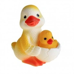 Duck - mum ?1