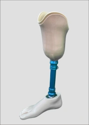 Tibial prosthesis for bathing PN3-94
