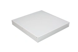 Flat Standart luminaire