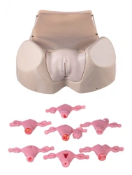 Extended gynaecological phantom ZIK-26P