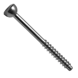 Malleolar screw