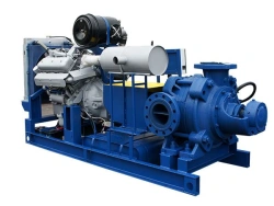 Diesel pump unit model DNU(Oil)-300/120
